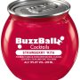 Buzzballz biggies strawberry